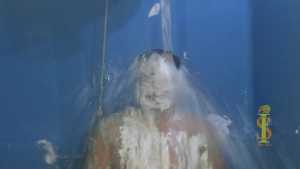 ford-splatter-island-x2_10.jpg